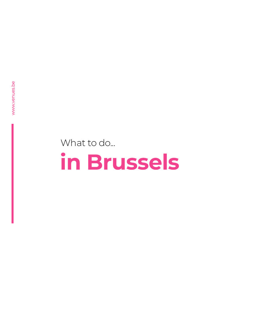 Cover of "What to do in Brussels?"