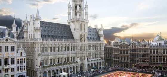 Flower carpet in Brussels