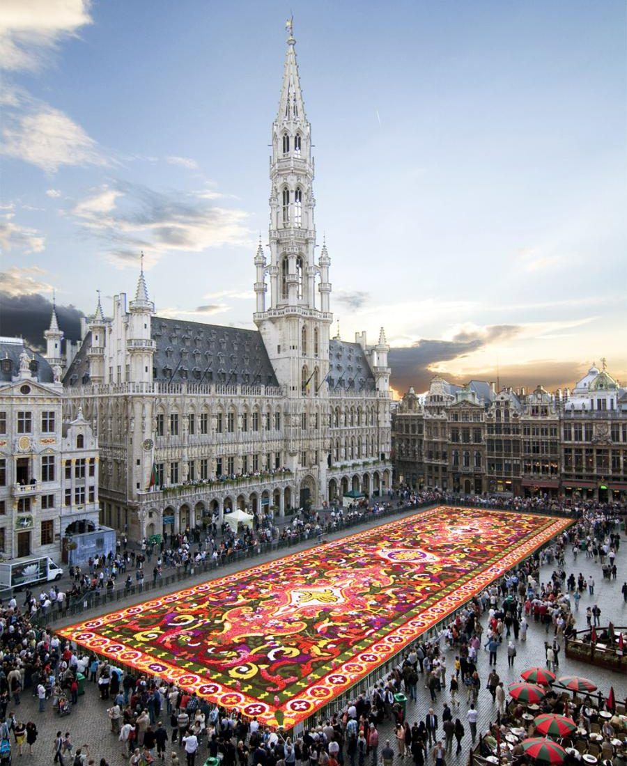 Flower carpet in Brussels