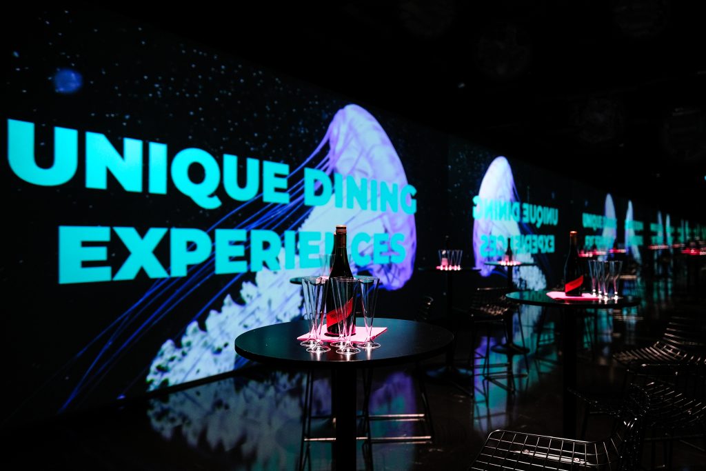 Museum of Infinite Realities, venue of Brussels Special Venues