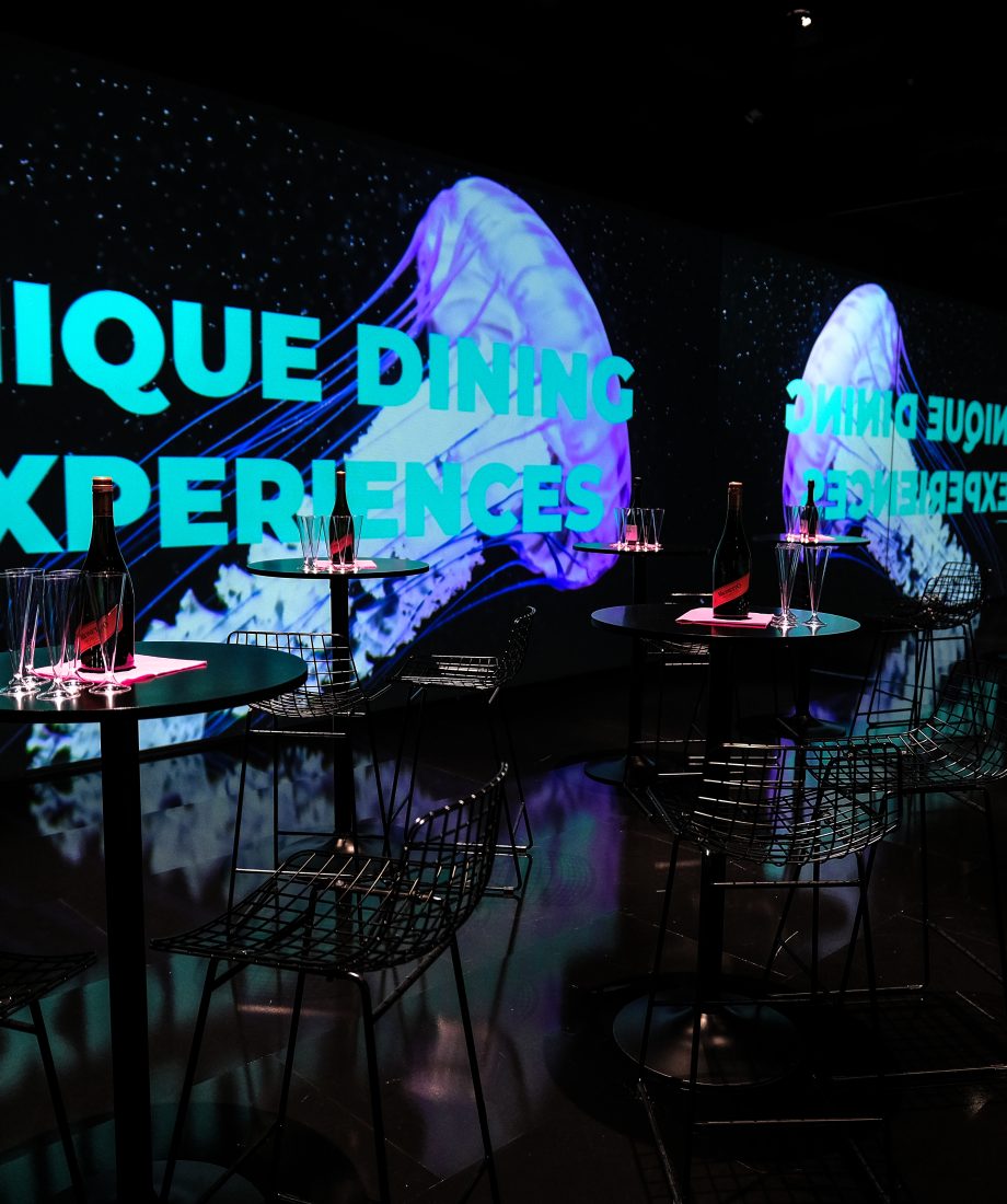 Museum of Infinite Realities, venue of Brussels Special Venues