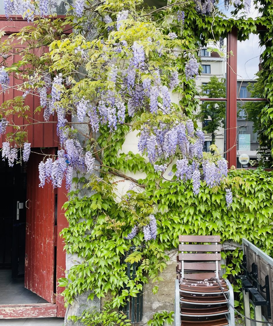 Au Bassin, venue of Brussels Special Venues