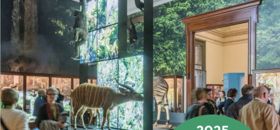 Africa Museum, venue of Brussels Special Venues